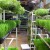 Ann Wigmore Greenhouse