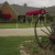 CanyonOaks2