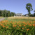 Dahlonega Resort