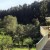 Meadowood Napa Valley
