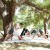 Ranch Live Oak Yoga