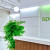 Spruce Body Lab