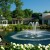 Swan Lake Resort