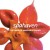 Spa Haven Logo
