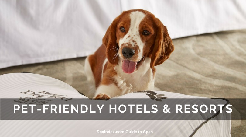 Pet Friendly Spa Hotels and Resorts