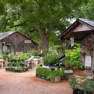 Nature S Spa Fredericksburg Herb Farm Best Texas Spas