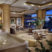The Phoenician Lobby