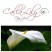 Calla Lily Day Spa