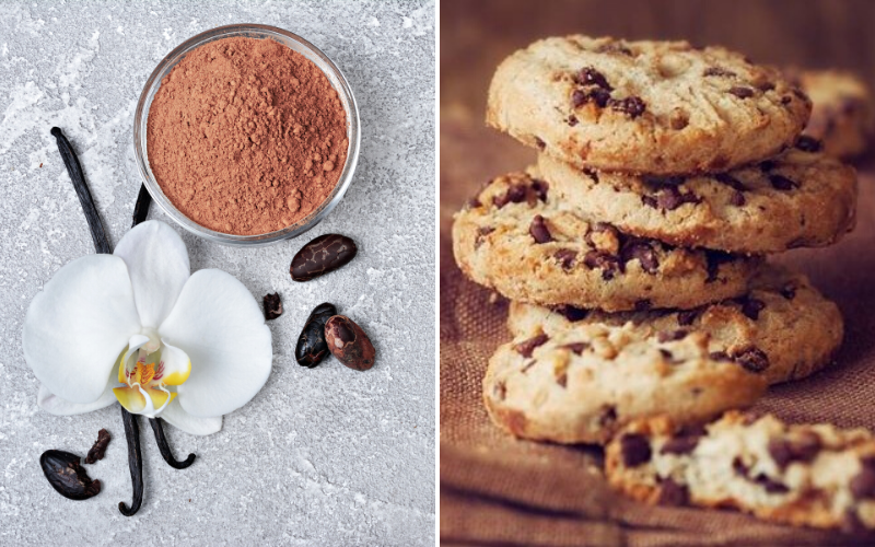 Vanilla Cacao Nib Cookies