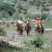 Hyatt Regency Tamaya Resort & Spa - Riding Instruction