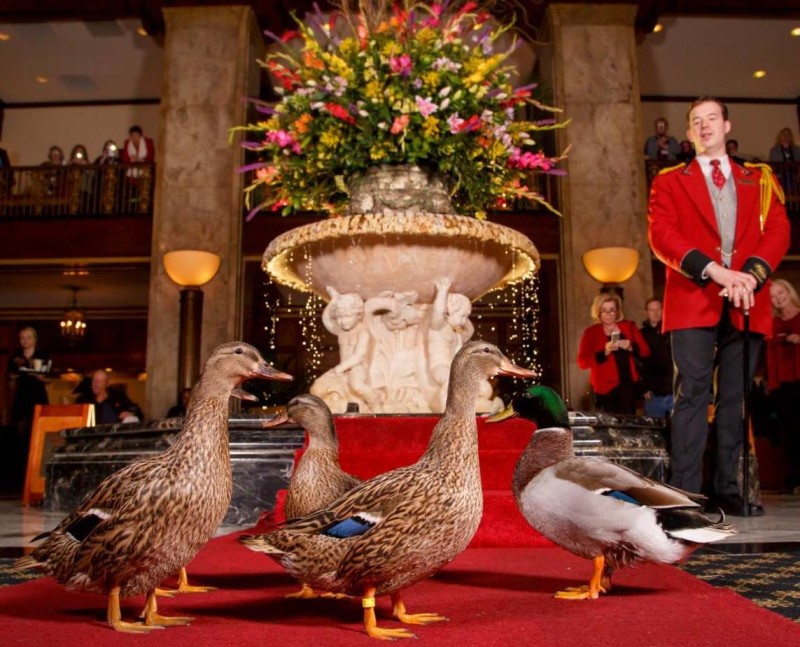 The Peabody – Memphis Tennessee Hotel and Spa