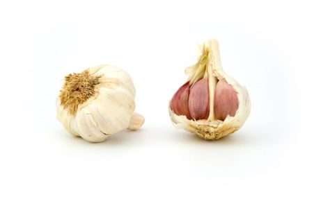 GARLIC