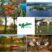 Madden's on Gull Lake - Minnesota