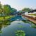 Anantara Chiang Mai Hotel & Spa - Thailand - Lotus Pond