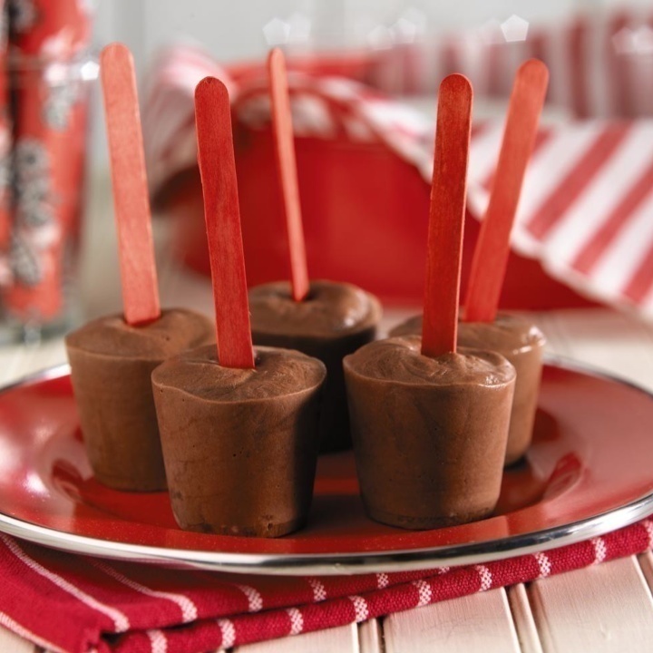 Sugar Free Frozen Chocolate Yogurt Pops