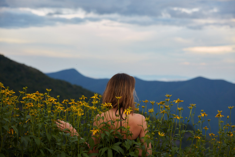 Forest Bathing Tours in the Blue Ridge Mountains