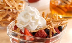 100 Calorie Berry Tortilla Fruit Nachos