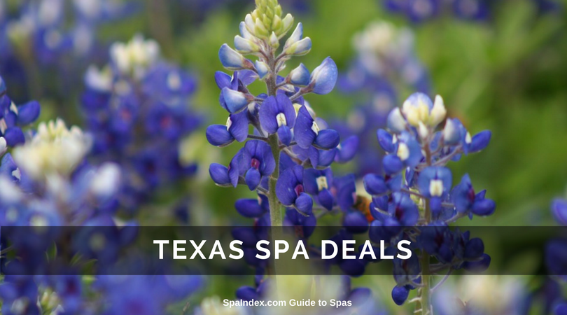 Texas Spa Deals