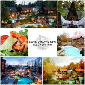 Scandinave Spa Blue Mountain Ontario