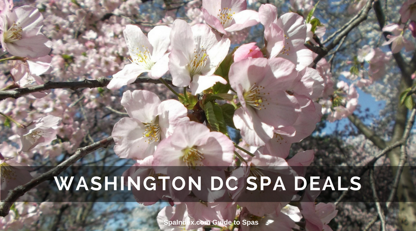 WASHINGTON DC SPA DEALS AND GETAWAYS