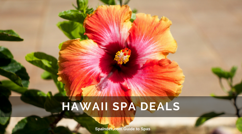 Hawaii Spa Deals