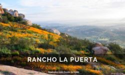 Retreat Spotlight: Rancho La Puerta, Baja, Mexico