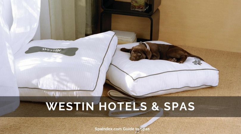 WESTIN HOTELS - Pet Friendly