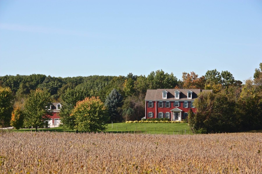 Prairie Songbirg B&B Indiana Dunes