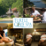 Turtle Cove Spa at Lake Ouachita