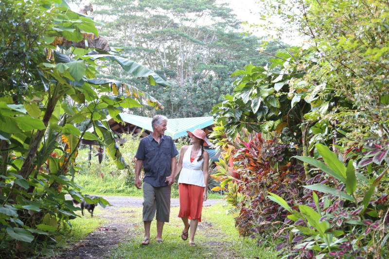 Big Island Spa Retreat