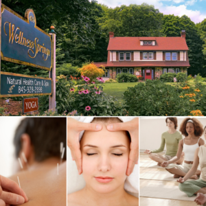 Wellness Springs Highland Mills New York