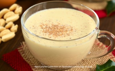 Dairy Free Eggnog – Skyterra Recipe