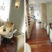 Bella Sante Lexington