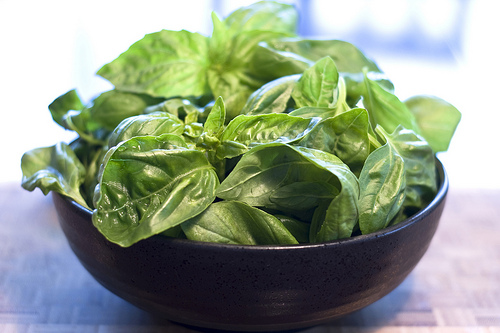 basil