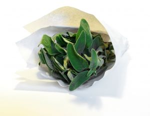 herb sage bundle